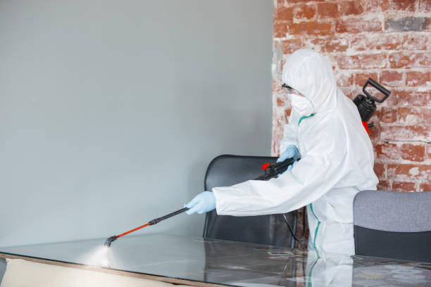 Amherst, WI Mold Removal Company